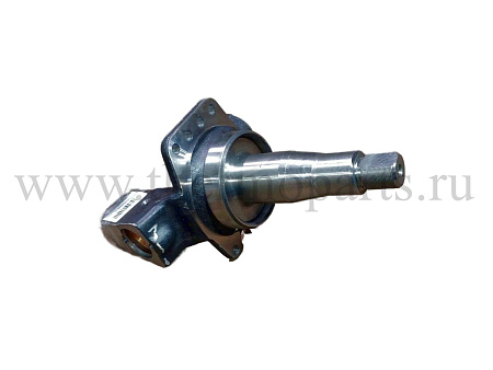 Кулак поворотный с кольцом (правый) ПАЗ-4230 АВРОРА, КАВЗ КААЗ