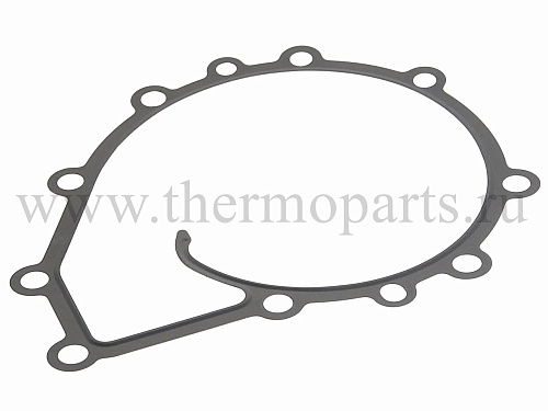 Прокладка ПАЗ Вектор Next дв.534 насоса водяного 719 металл РД