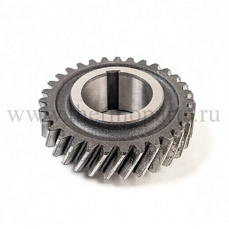 Шестерня 3 передачи пром/вала z-31