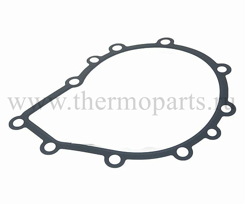 Прокладка ПАЗ Вектор Next дв.534 насоса водяного 719